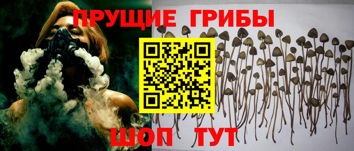 Псилоцибиновые грибы Magic Shrooms Екатеринбург